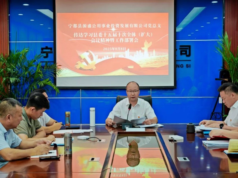 公司党总支传达学习中共宁都县委十五届十次全体（扩大）会议精神